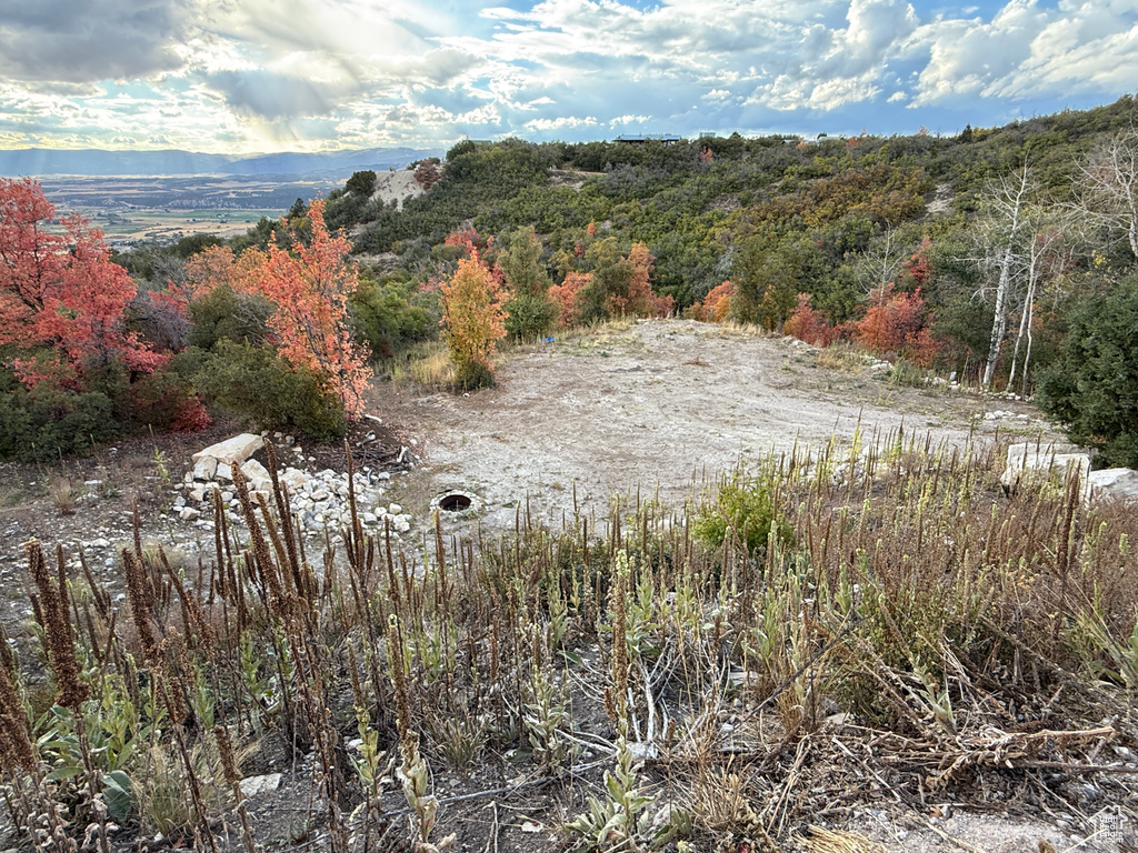 1  ARCHIES HIDEAWAY Fairview, UT 84629