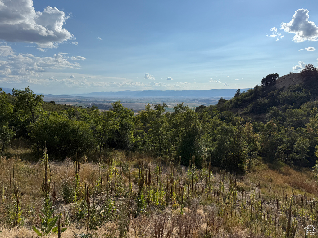 1  ARCHIES HIDEAWAY Fairview, UT 84629