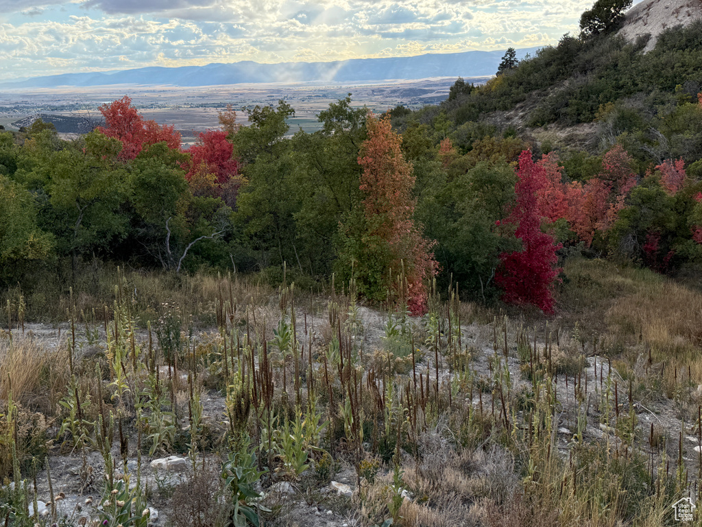 1  ARCHIES HIDEAWAY Fairview, UT 84629
