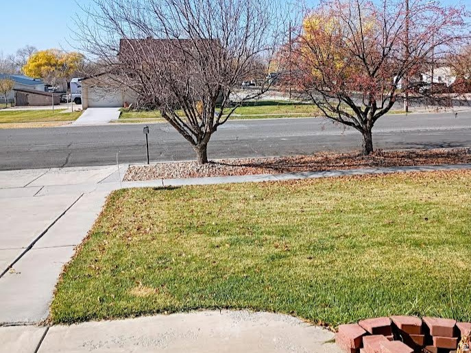 113 S 400 E Nephi, UT 84648