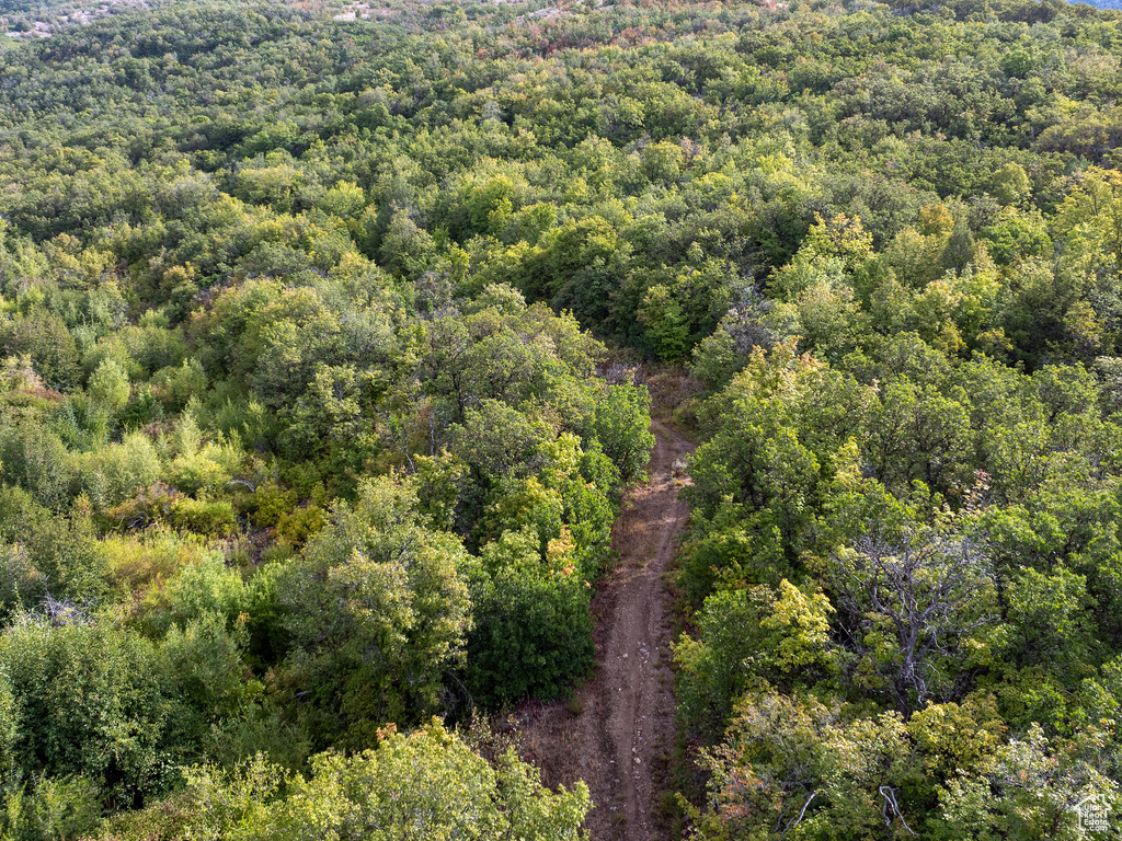 4993 N POWDER MOUNTAIN RD Eden, UT 84310