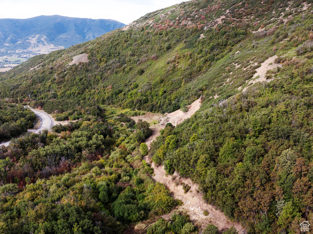 4993 N POWDER MOUNTAIN RD Eden, UT 84310