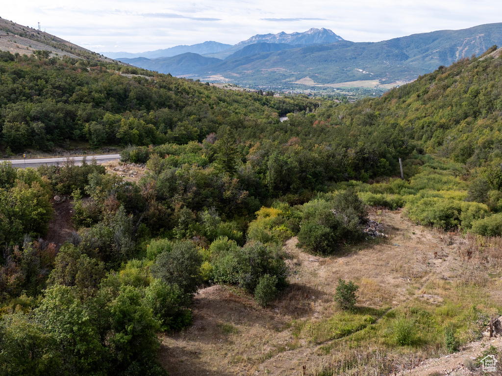 4993 N POWDER MOUNTAIN RD Eden, UT 84310