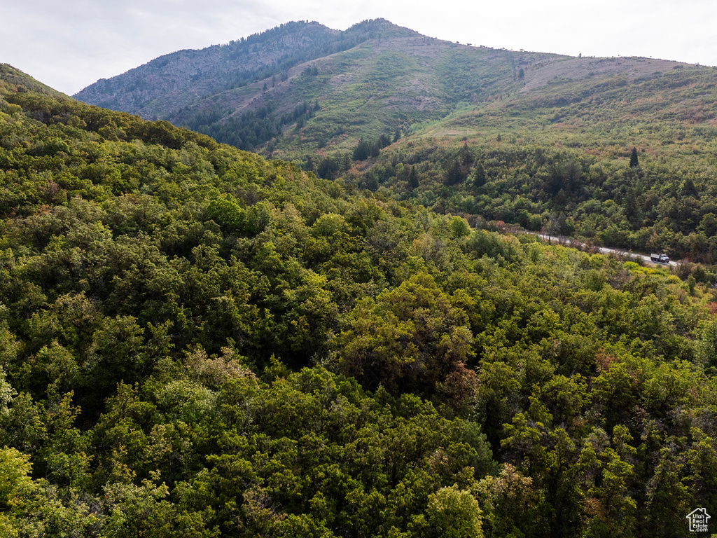 4993 N POWDER MOUNTAIN RD Eden, UT 84310