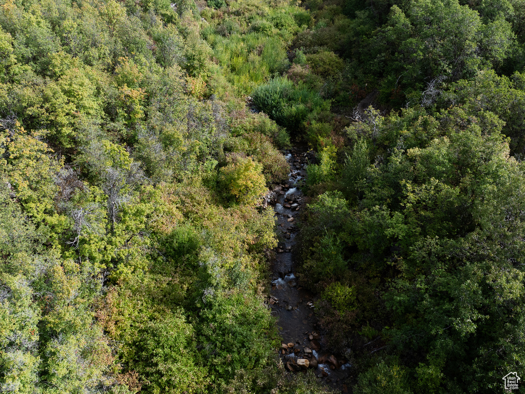 4993 N POWDER MOUNTAIN RD Eden, UT 84310