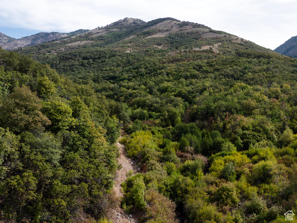 4993 N POWDER MOUNTAIN RD Eden, UT 84310