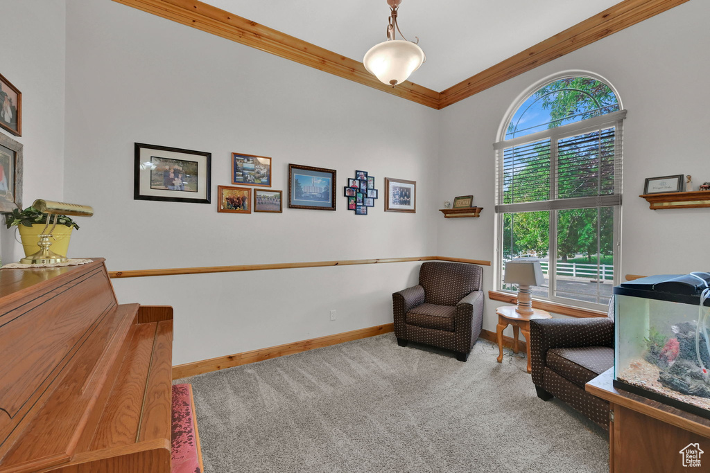 295 W 2000 S Brigham City, UT 84302