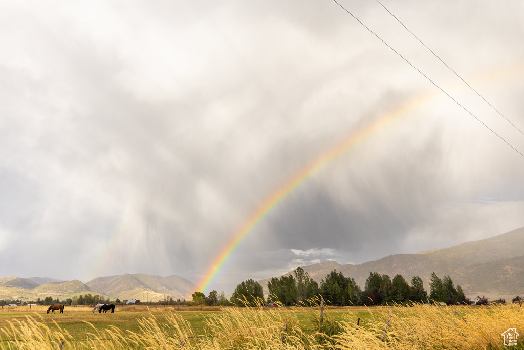 396 W ROB YOUNG LN Oakley, UT 84055