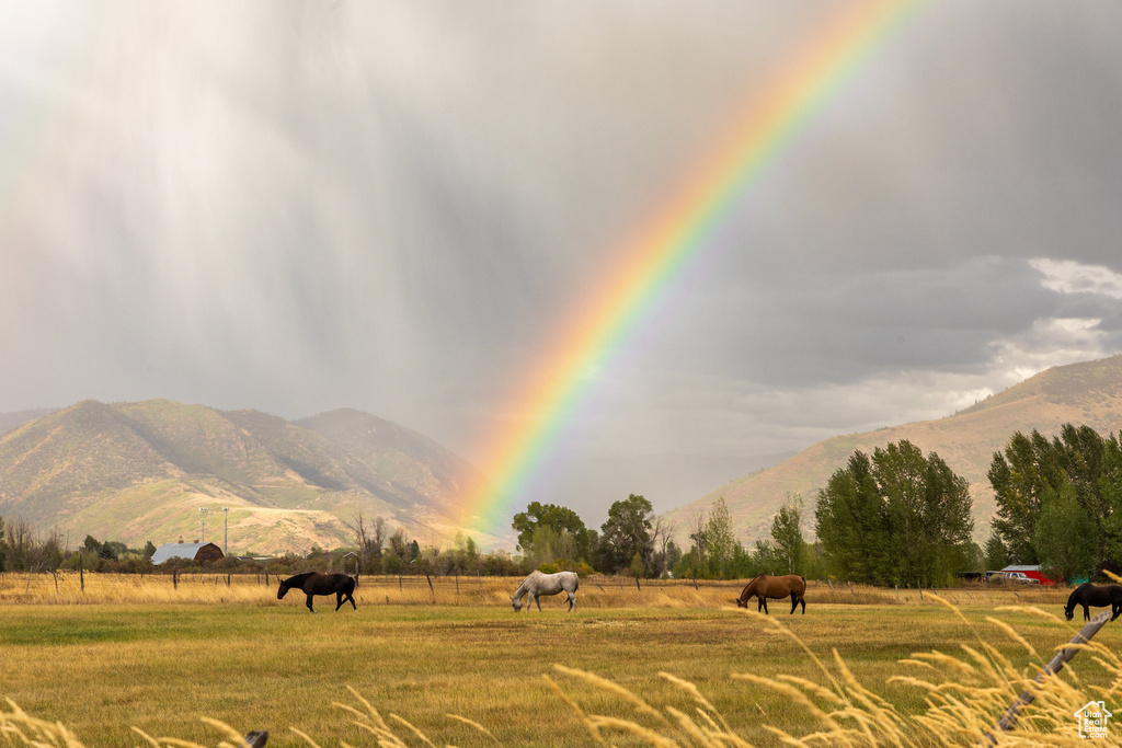 396 W ROB YOUNG LN Oakley, UT 84055