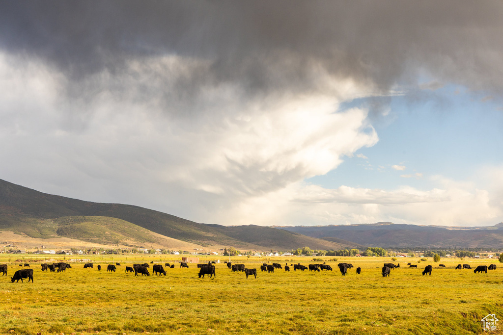 396 W ROB YOUNG LN Oakley, UT 84055