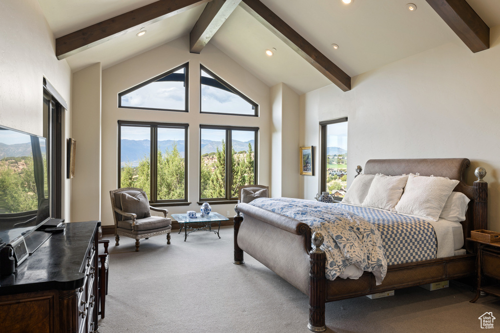 Photo 17 for MLS #2111312 at 223 N Ibapah Peak Dr #129