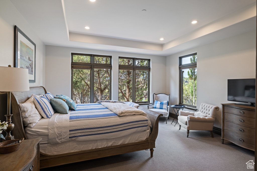 Photo 21 for MLS #2111312 at 223 N Ibapah Peak Dr #129