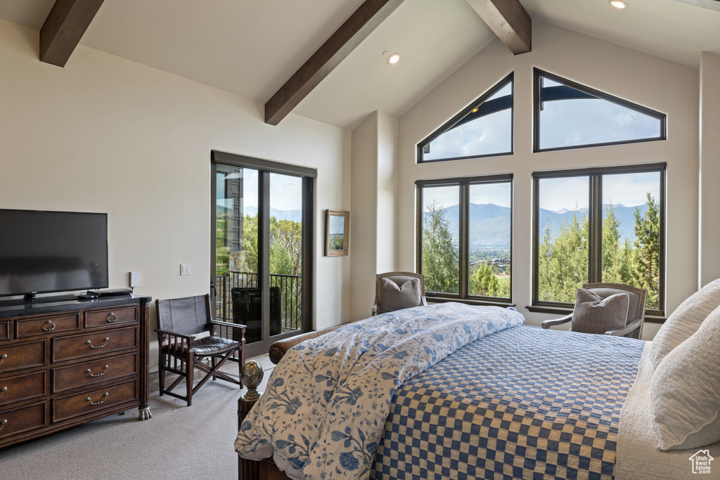 Photo 18 for MLS #2111312 at 223 N Ibapah Peak Dr #129