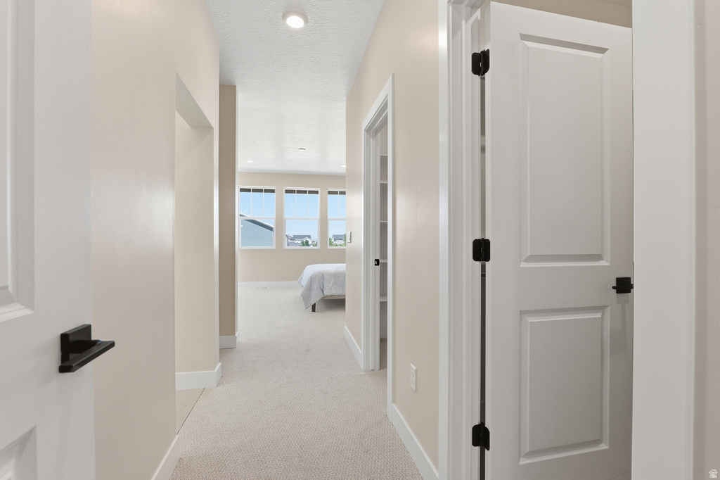 Hallway with neutral carpeting and light-colored walls, featuring white trim and solid panel doors with matte black hardware