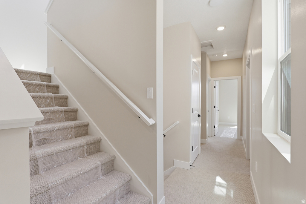 Carpeted staircase with white handrail and trim