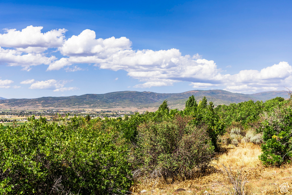 1417  SPLENDOR VALLEY RD Kamas, UT 84036