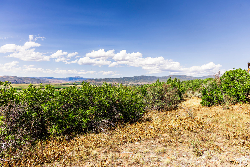 1417  SPLENDOR VALLEY RD Kamas, UT 84036