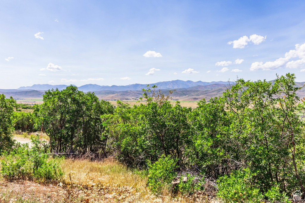 1417  SPLENDOR VALLEY RD Kamas, UT 84036