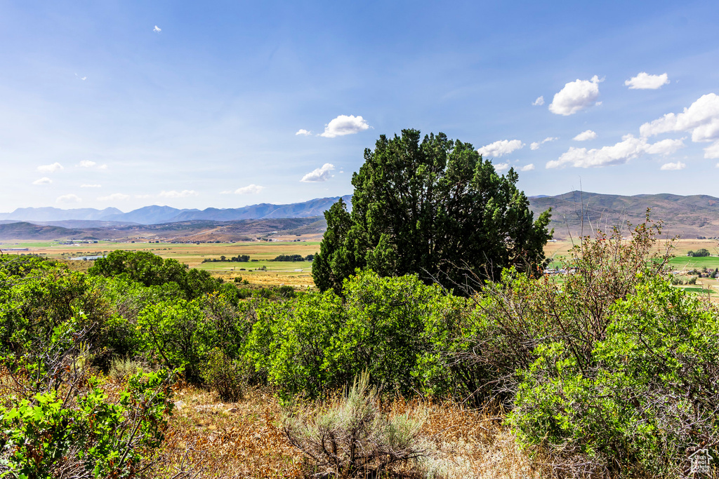 1417  SPLENDOR VALLEY RD Kamas, UT 84036