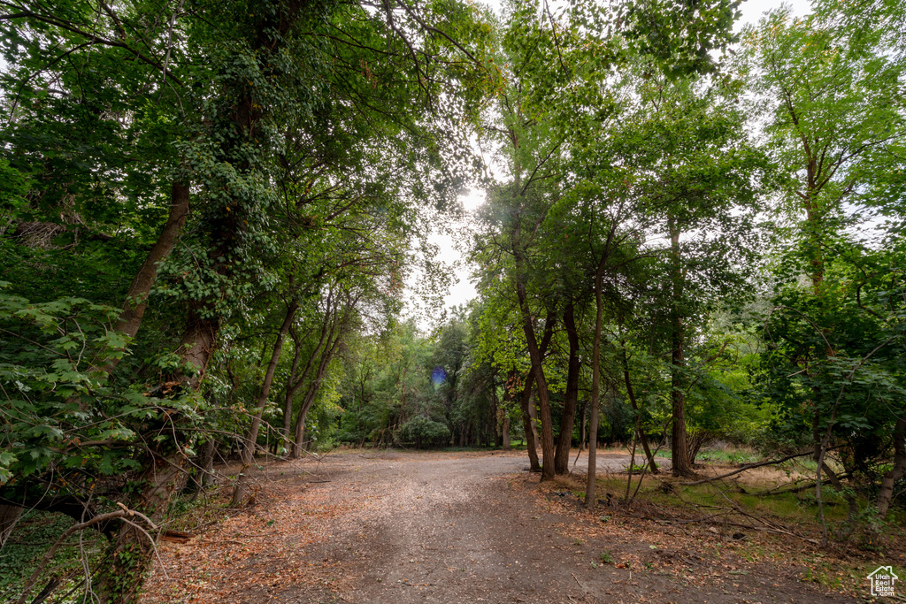 2318 E WALKER LN Holladay, UT 84117
