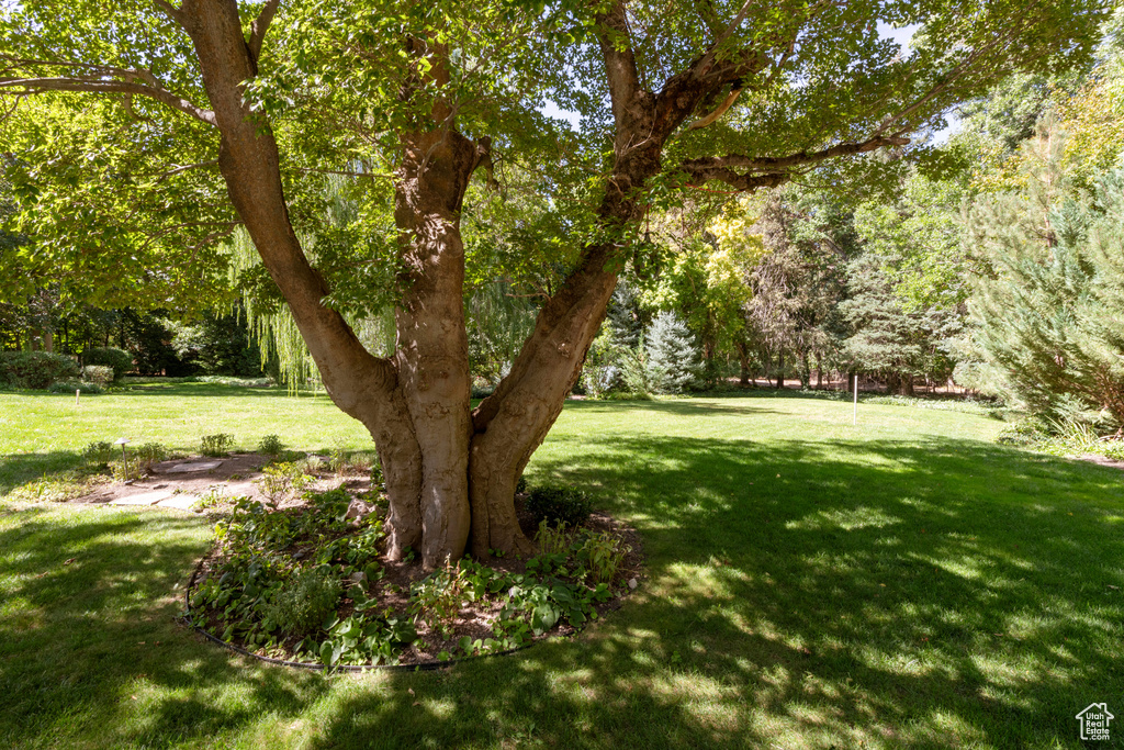 2318 E WALKER LN Holladay, UT 84117