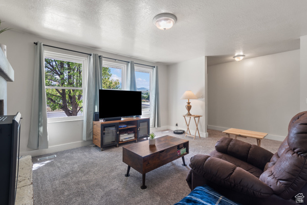 290 W APPLE BLOSSOM WAY Salem, UT 84653