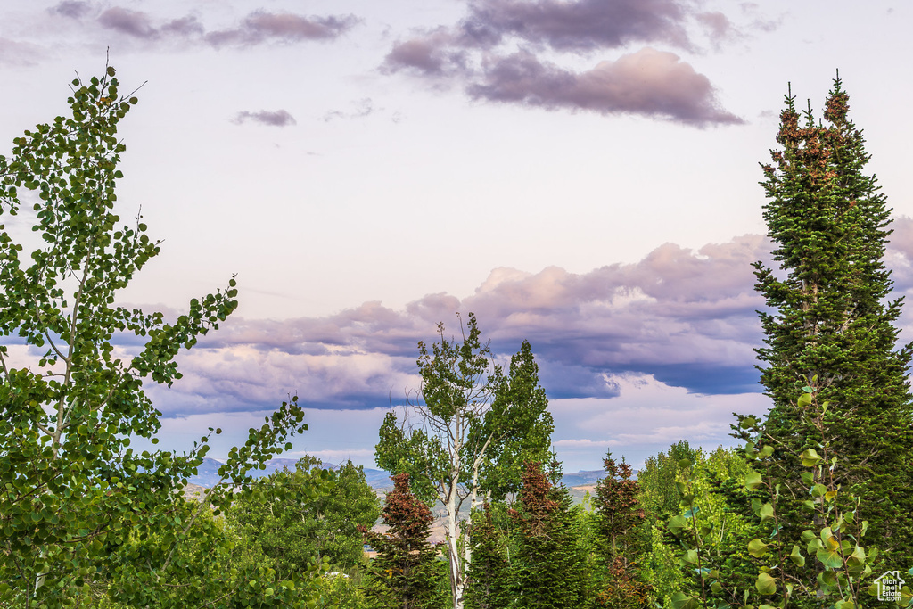 Photo 28 for MLS #2111396 at 2549 Enclave Ln #35