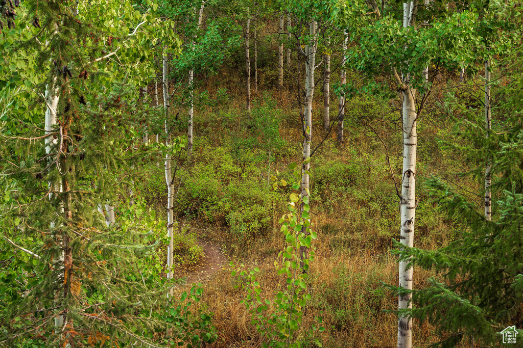 Photo 33 for MLS #2111396 at 2549 Enclave Ln #35