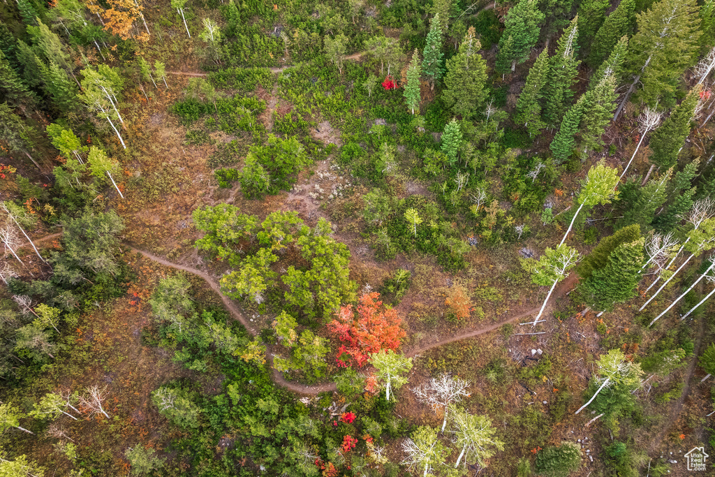 Photo 44 for MLS #2111396 at 2549 Enclave Ln #35