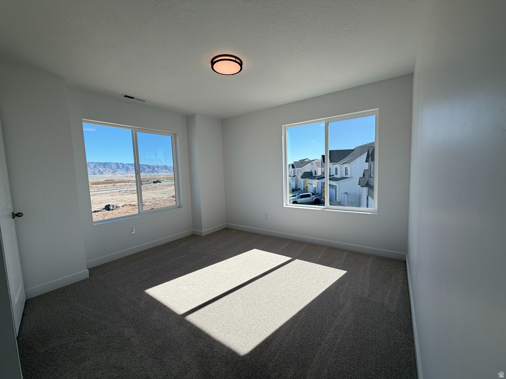 Photo 11 for MLS #2111406 at 2069 W Leapfrog Rd #430