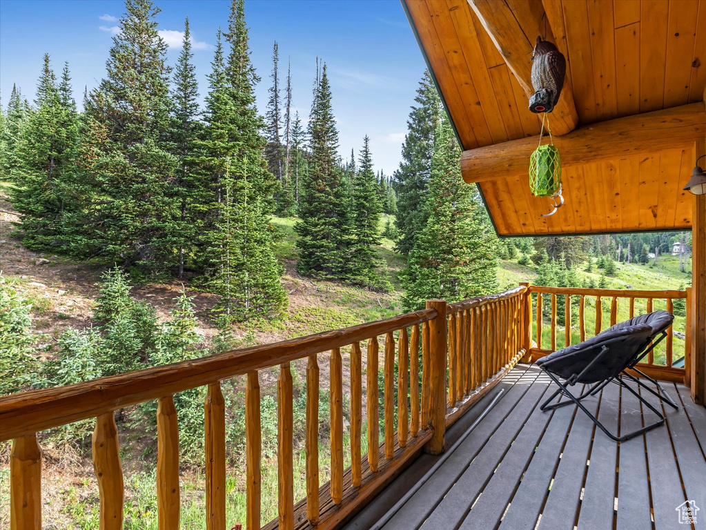 28765 N 19500 E #65 Fairview, UT 84629
