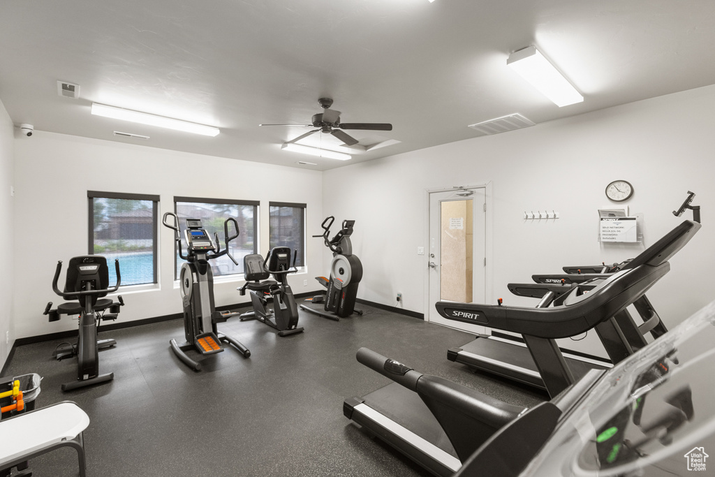 Photo 47 for MLS #2111561 at 2701 Bella Sol Dr