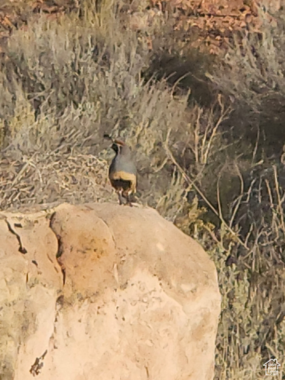 129  S SAND TRAP CIR Kanab, UT 84741