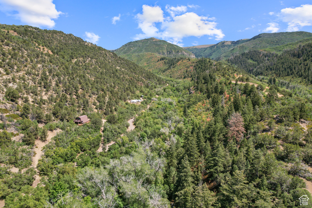 13 E BIRCH CREEK DR Fairview, UT 84629