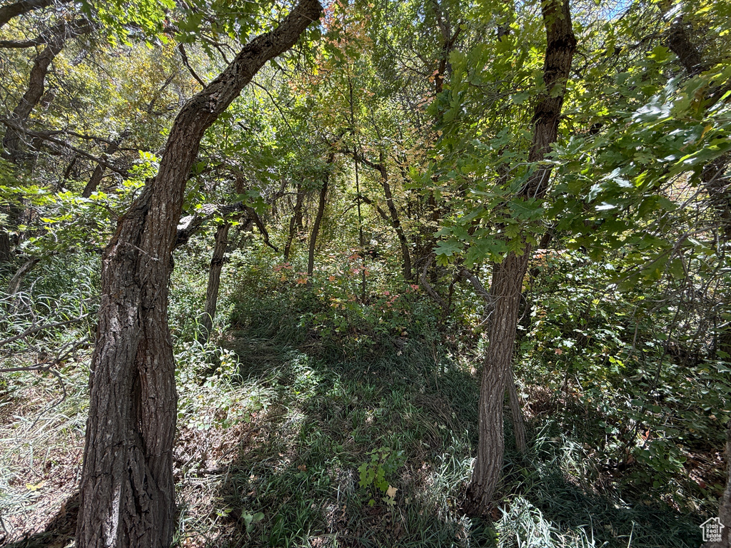 13 E BIRCH CREEK DR Fairview, UT 84629