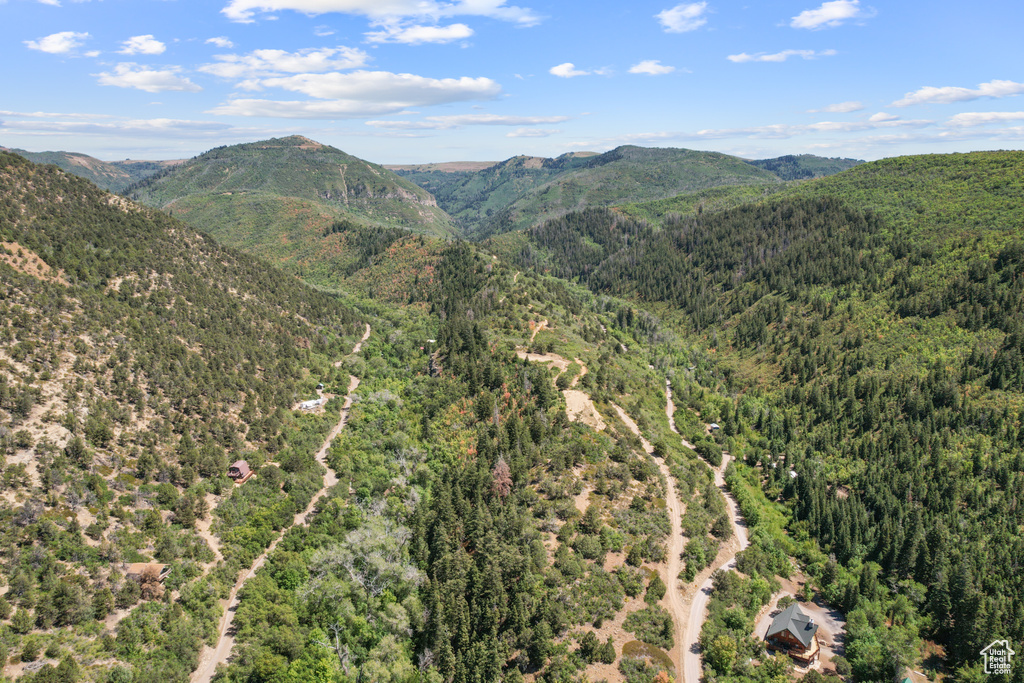 13 E BIRCH CREEK DR Fairview, UT 84629