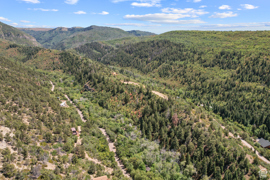 13 E BIRCH CREEK DR Fairview, UT 84629