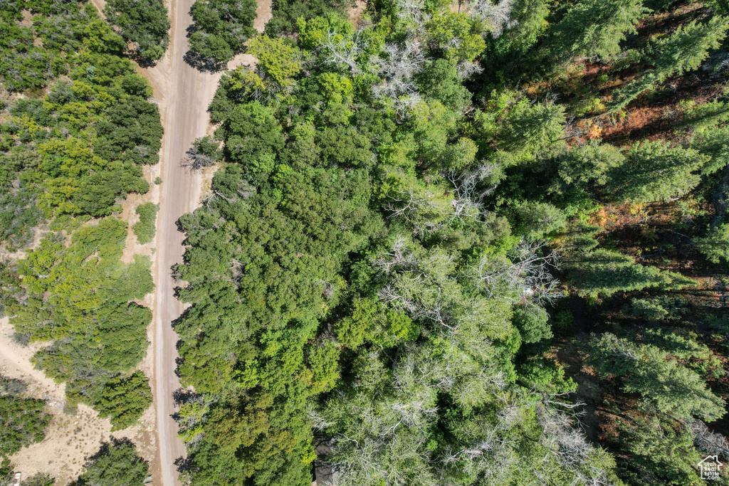 13 E BIRCH CREEK DR Fairview, UT 84629