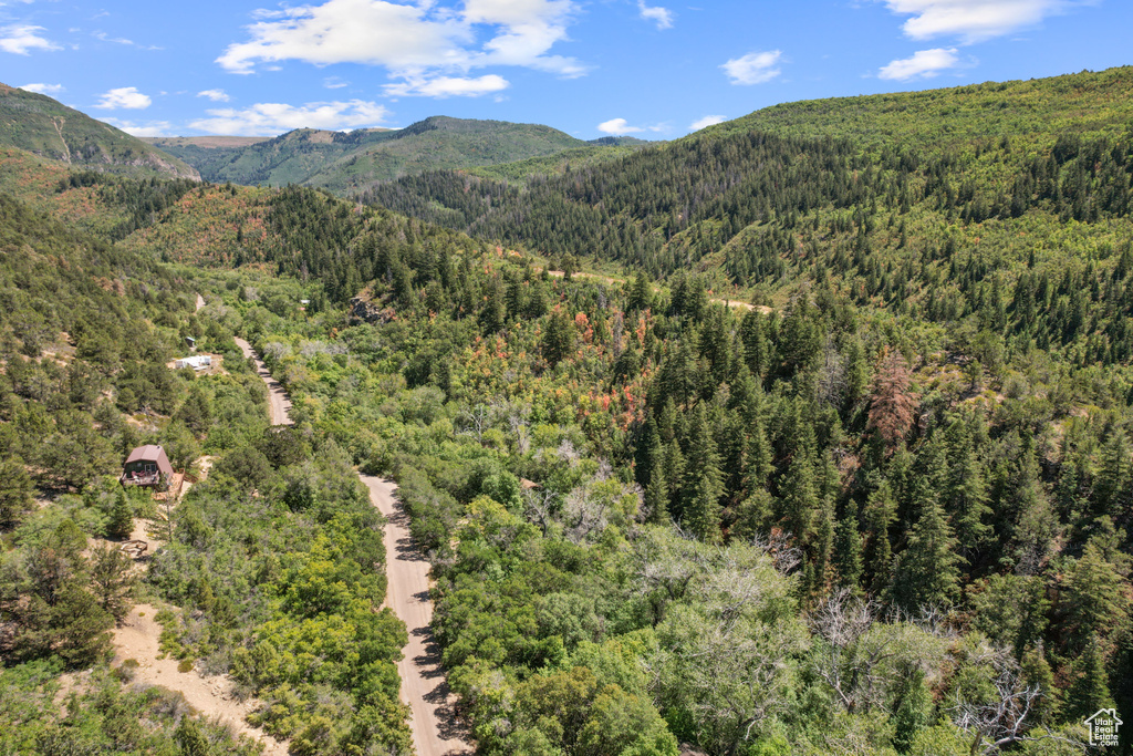 13 E BIRCH CREEK DR Fairview, UT 84629