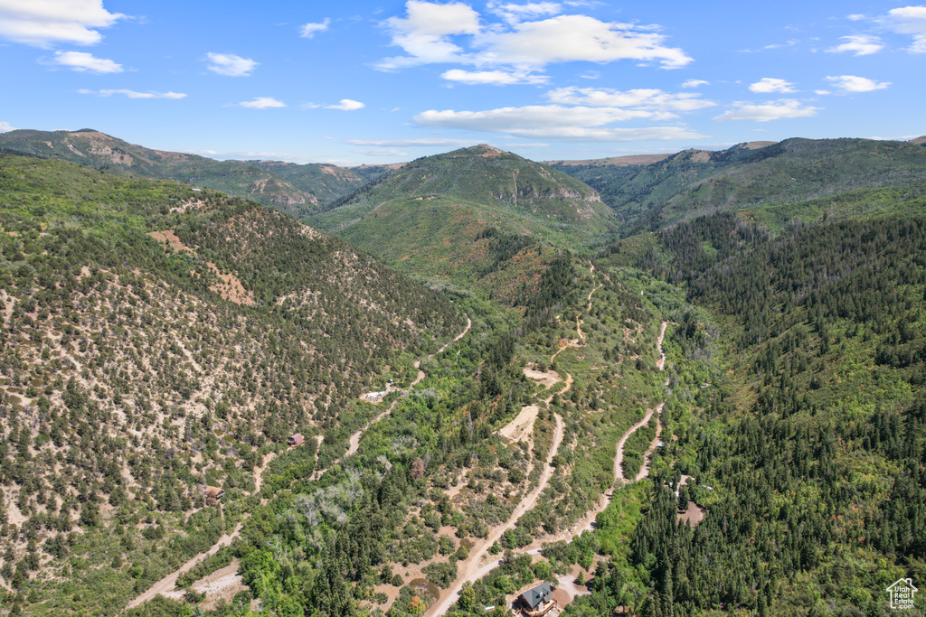 13 E BIRCH CREEK DR Fairview, UT 84629