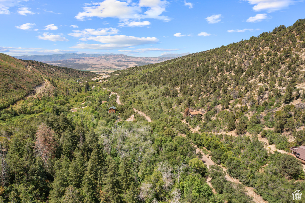 13 E BIRCH CREEK DR Fairview, UT 84629