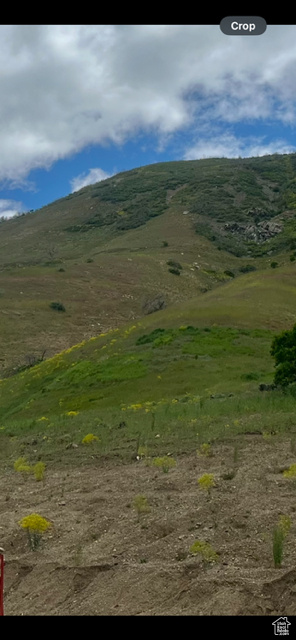 127 S ROCK LOFT RIDGE DR Fruit Heights, UT 84037