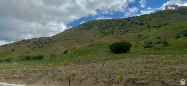 127 S ROCK LOFT RIDGE DR Fruit Heights, UT 84037