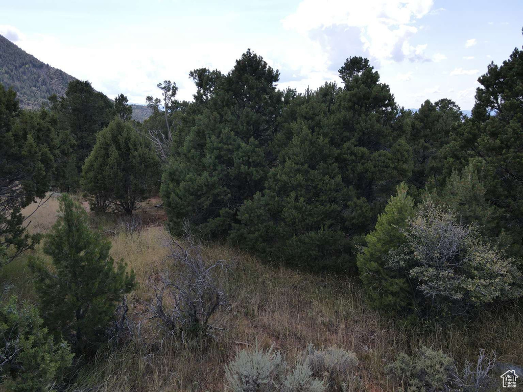 2102 S HIGH CEDAR VIEW DR Cedar City, UT 84720