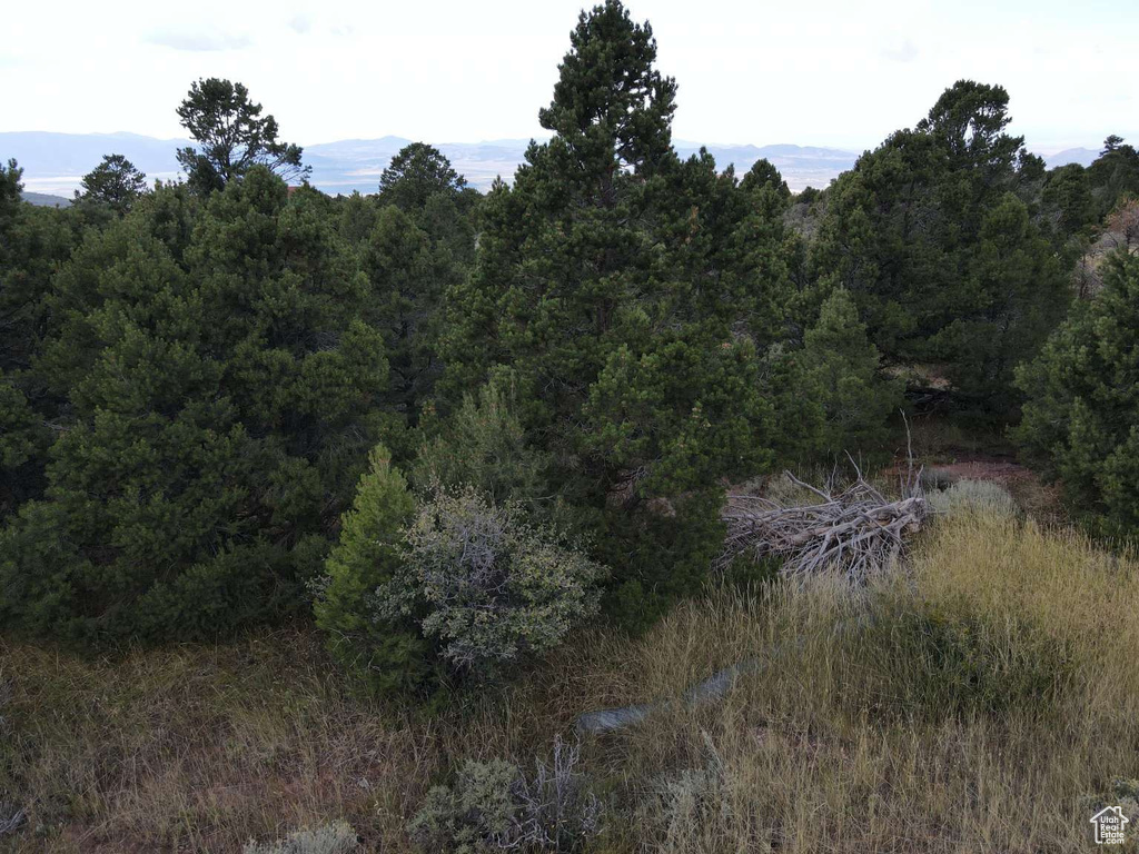 2102 S HIGH CEDAR VIEW DR Cedar City, UT 84720