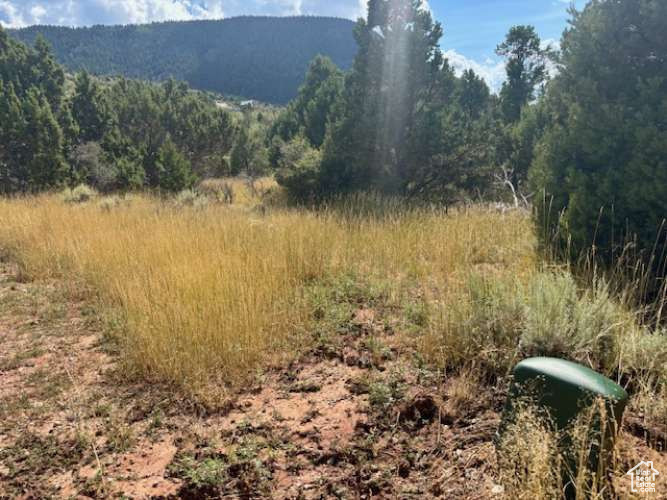 2102 S HIGH CEDAR VIEW DR Cedar City, UT 84720