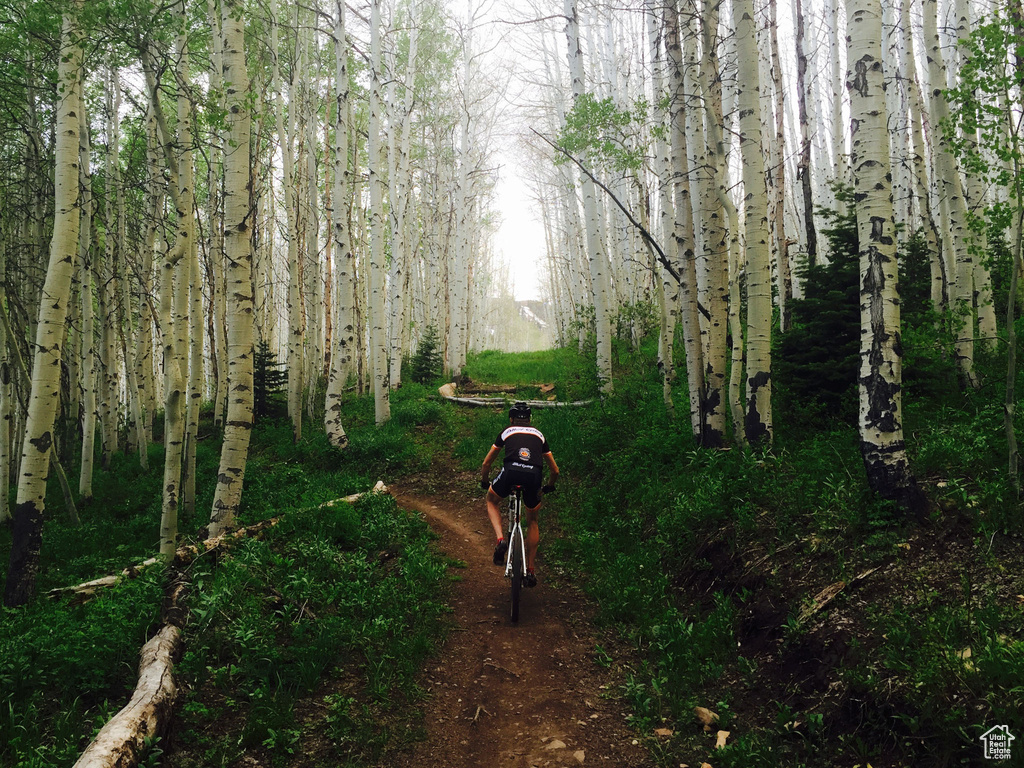 336  DALY AVE Park City, UT 84060