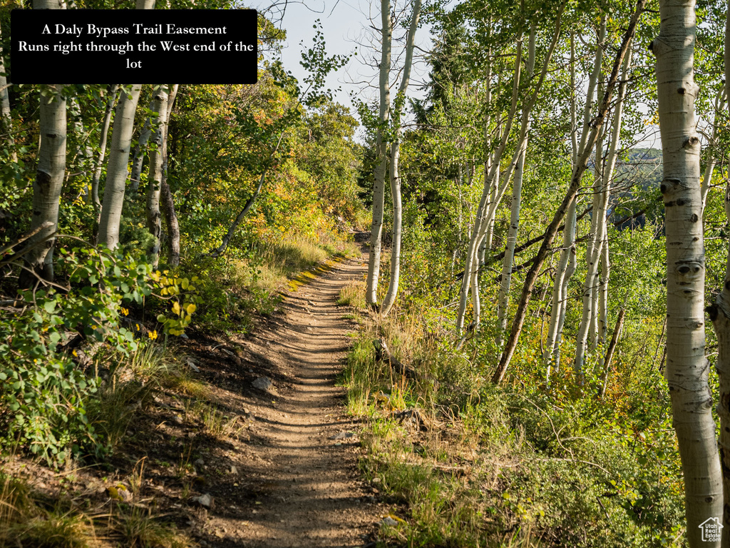 336  DALY AVE Park City, UT 84060