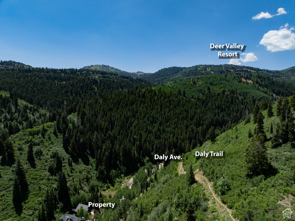 336  DALY AVE Park City, UT 84060