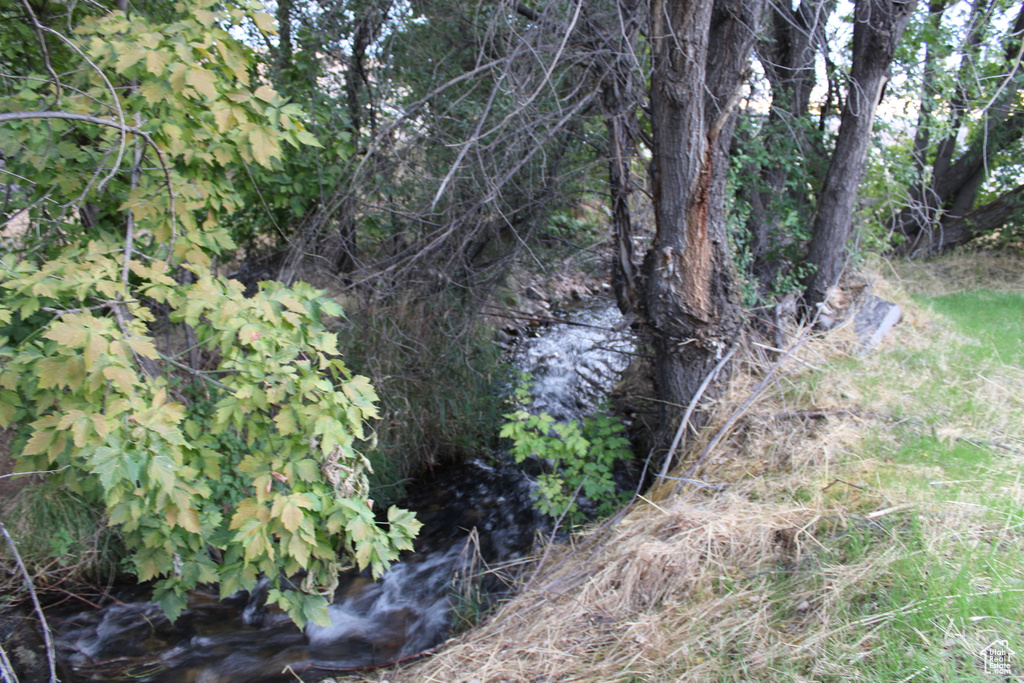 645 S RED DEVIL DR Springville, UT 84663